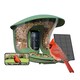 image 1 of BIRDFY FEEDER 2 PRO AI W/ SOLAR