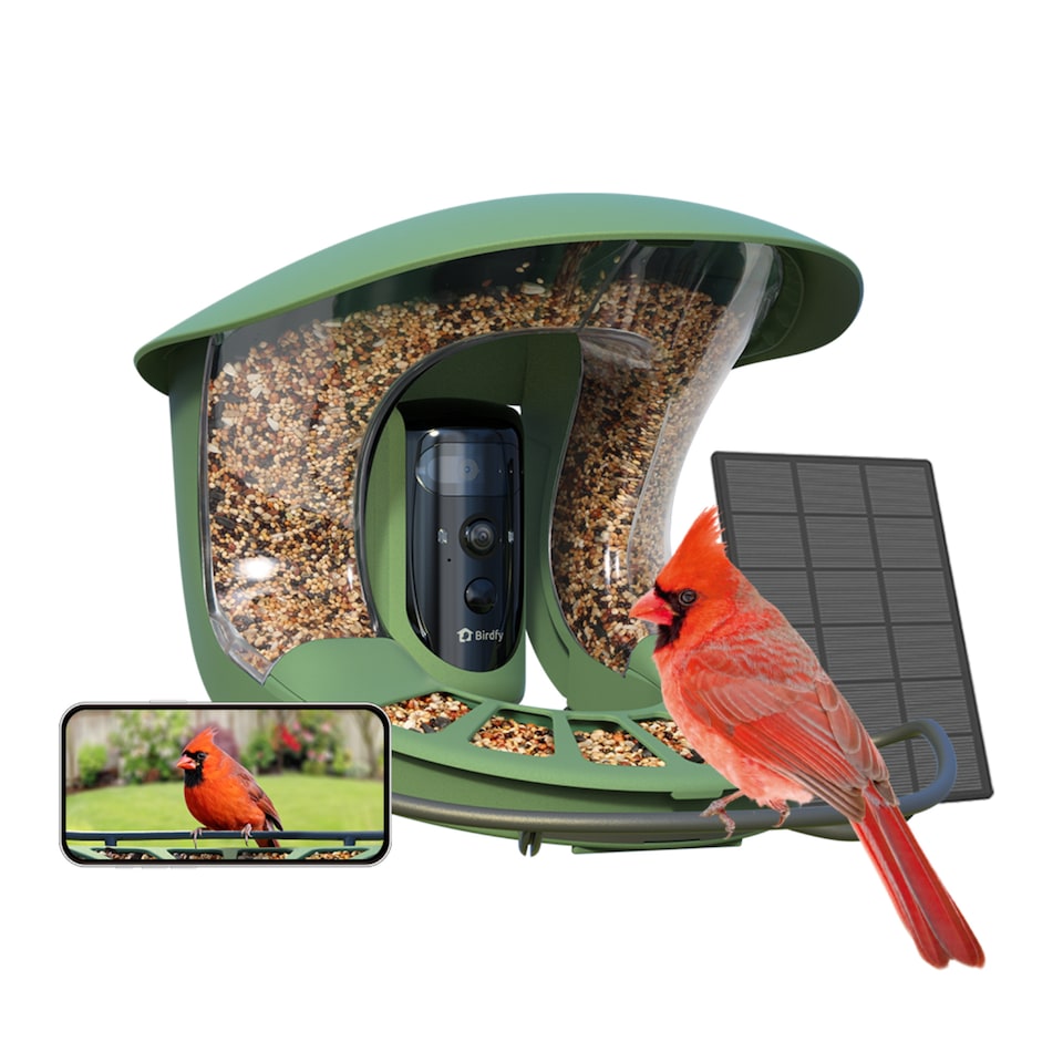image 1 of BIRDFY FEEDER 2 PRO AI W/ SOLAR
