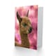 image 2 of Cute Alpaca Llama Baby Animal Photograph Greeting Card