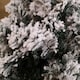 image 3 of 7ft (2.1m) Premier Spiral Snow Flocked Christmas Tree
