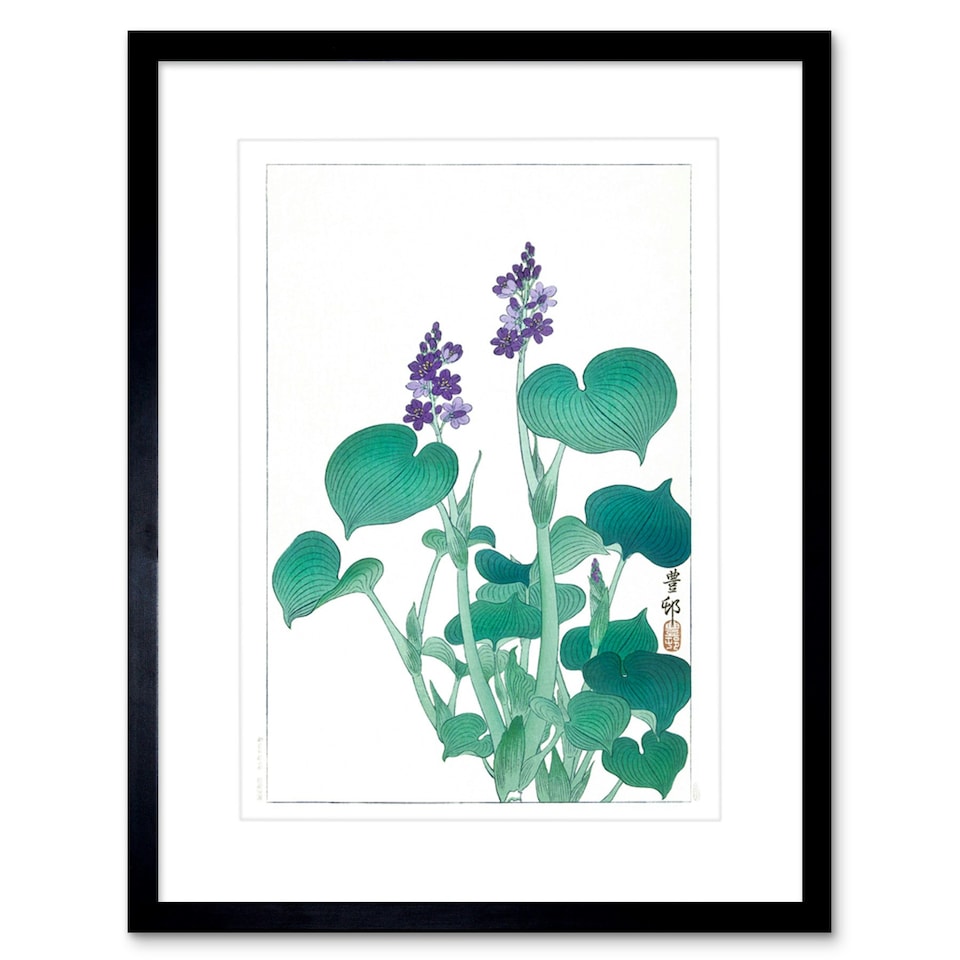 image 1 of Blooming Hosta Ohara Koson Botanical Plant Lover 9x7" Black Framed Wall Art Print