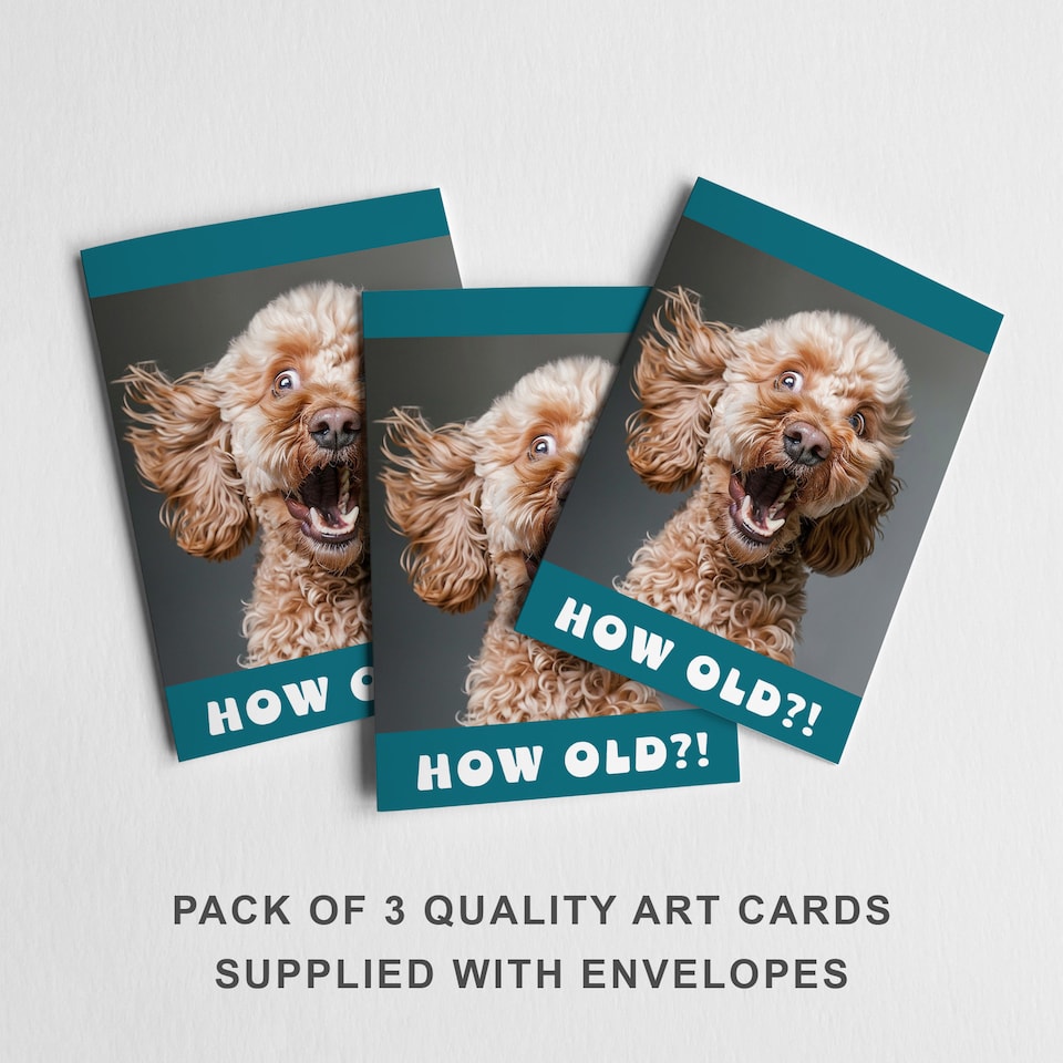 image 1 of Funny Cockapoo Birthday Card How Old Joke Set of 3 Greeting Cards Blank Inside