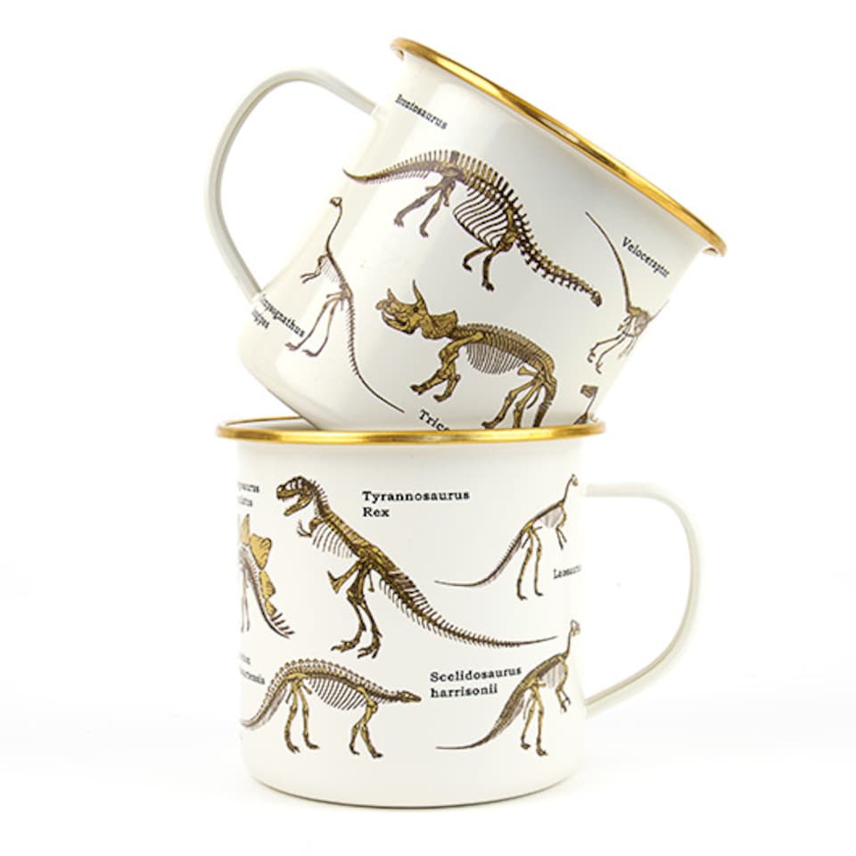image 1 of Enamel Mug Dinosaurum Cup