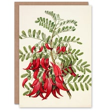 Sarah Featon Art Card New Zealand Kaka Beak Plant Flowers