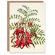 image 1 of Sarah Featon Art Card New Zealand Kaka Beak Plant Flowers