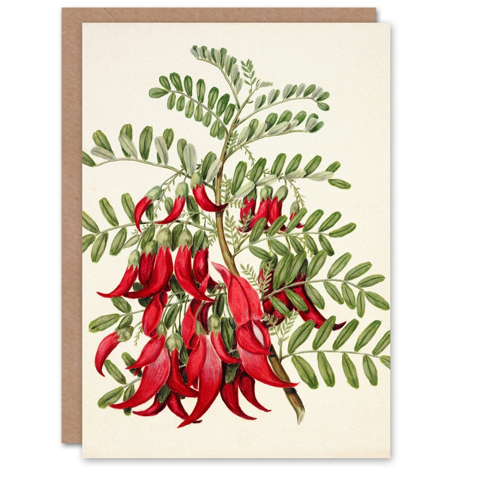 image 1 of Sarah Featon Art Card New Zealand Kaka Beak Plant Flowers