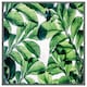 image 4 of Tropical palm (Picutre Frame) White | L
