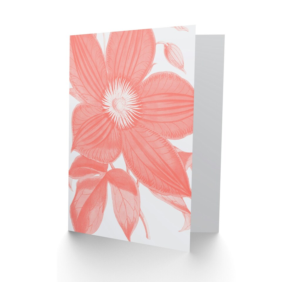 image 1 of Living Coral Clematis Flower Art Blank Just to Say Card
