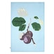 image 2 of RHS Hooker Fruit Organic Cotton Set of 2 Tea Towels Blue