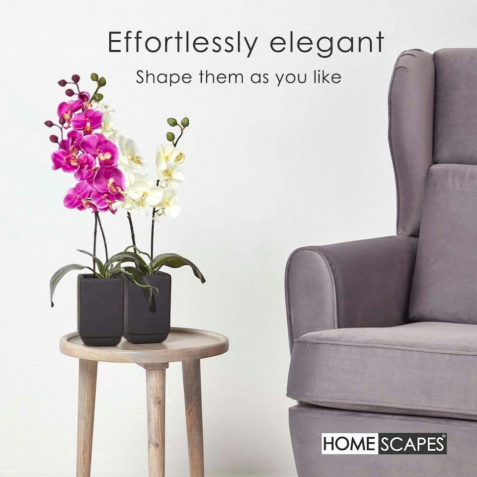 image 1 of Homescapes Set of 2 Cream & Pink Artificial Orchids in Black Ceramic Pots, 55 cm