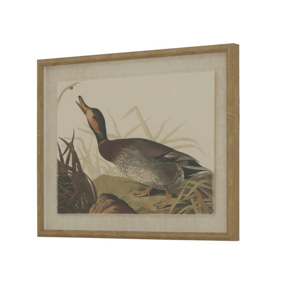 Hill Interiors Flora & Fauna Collection Duck Linen Framed Art Print - Multicoloured - 50cm x 2cm x 40cm
