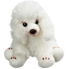 Sitting White Poodle