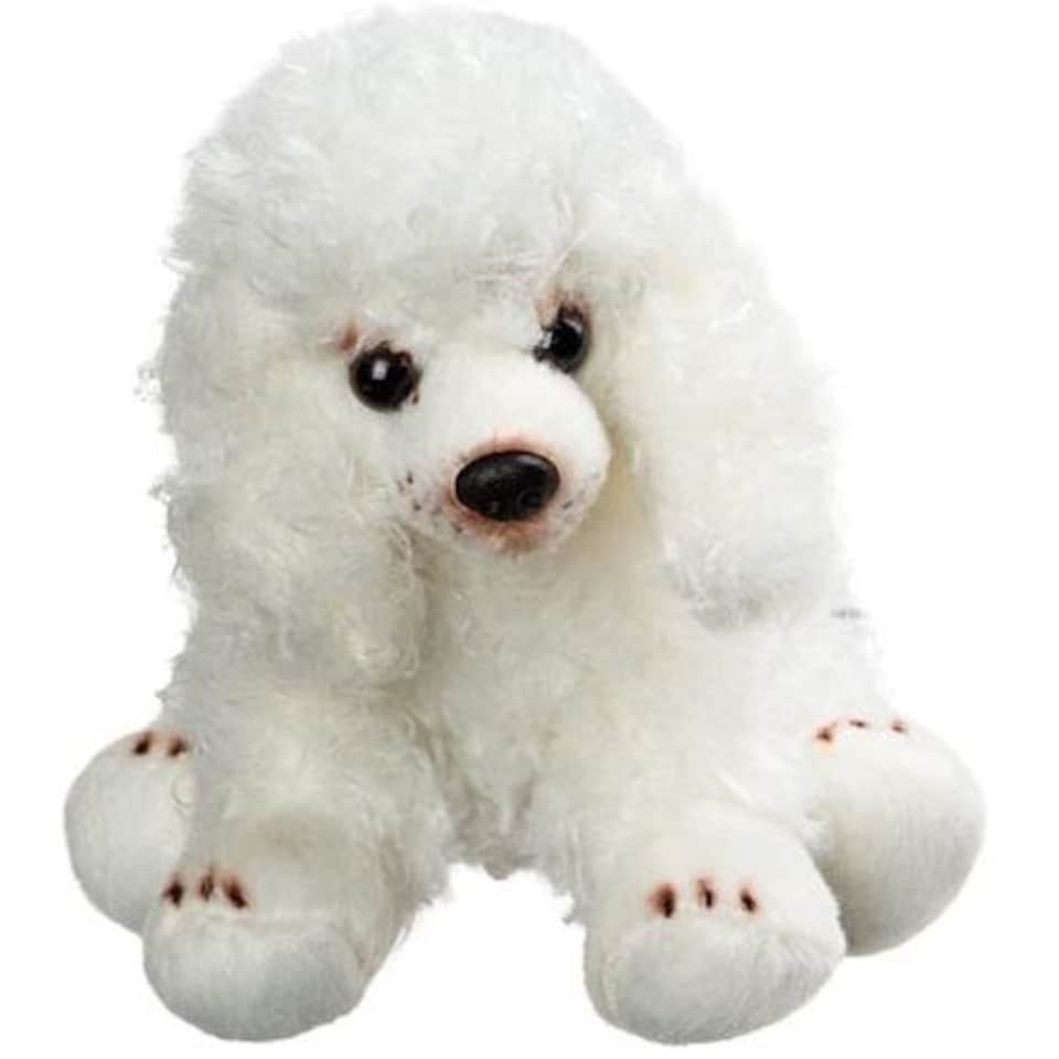 Sitting White Poodle