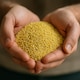 image 5 of Organic Millet Grain 1kg (Sussex Wholefoods) 