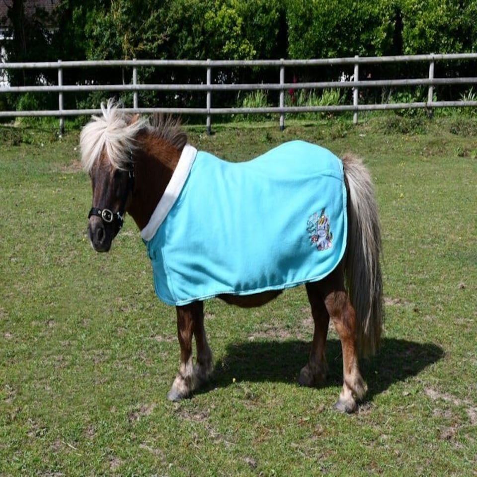 image 1 of Rhinegold Unicorn Embroidered Fleece Rug Blue | Colour: Aqua
Size: 3ft 9