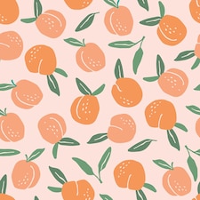 Peaches and Cream Wallpaper in Peach and Green | Orange | Peach and Green