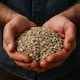image 4 of Organic Rye Flakes 500g (Sussex Wholefoods) | Multi