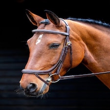 Shires Salisbury Buckingham Bridle Black | Size: Pony
Colour: Black