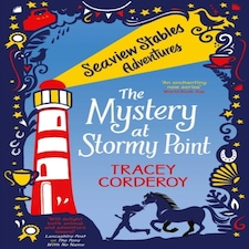 The Mystery At Stormy Point