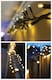 image 7 of Cluster Lights Black Rubber IP65 5m /250 LED Warm White