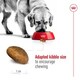 image 6 of Royal Canin Maxi Dry Adult Dog Food 3kg