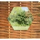 image 4 of Primrose Set of 7 Small Outdoor Hexagonal Silver Mirrors 11in