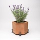 image 3 of Small Brushed Silver Hare Plant Pot Feet - Set of 3 Multi