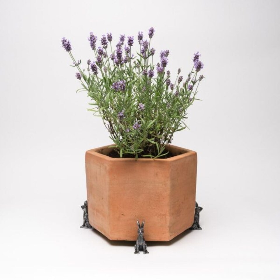 image 1 of Small Brushed Silver Hare Plant Pot Feet - Set of 3 Multi