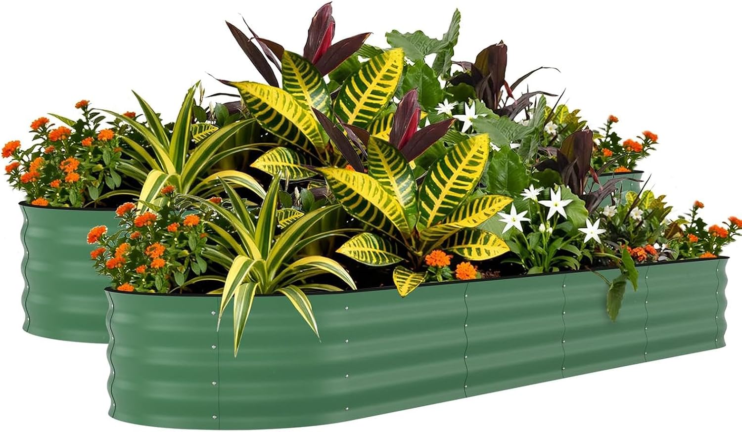 London Boutique Raised Garden Bed,240x60x60cm Oval Planter Box,Green Upgraded Anti-Cutting Strips,0.6mm Color Steel,Open Bottom for Vegetables Flowers