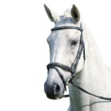 Avignon Padded Leather Horse Bridle - Black - Full