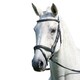 image 1 of Avignon Padded Leather Horse Bridle - Black - Full