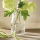 image 5 of Bormioli Rocco Quattro Stagioni Glass Bottle with Screw Top Lid - 200ml Clear | One Size