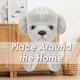 image 10 of Dog Cream Soft Toy Fun Doggy Plush Cuddly Soft Fluffy Cute Puppy 20cm White