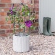 image 2 of Outdoor Pot Plant Support - Mild Steel - L64 x W26 x H26 cm - Zinc
