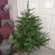 image 4 of 5ft (153cm) Premier Christmas Tree  Glenshee Spruce PE/PVC Natural Look