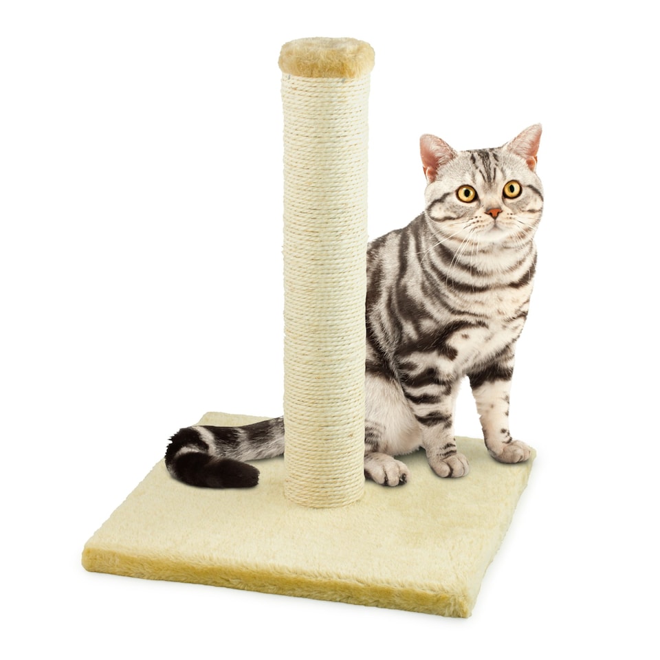 image 1 of KCT Small Beige Scratching Post for Indoor Cats & Kittens - 40cm