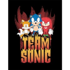 Sonic The Hedgehog (Team Sonic) Framed 30x40cm Print