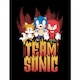image 1 of Sonic The Hedgehog (Team Sonic) Framed 30x40cm Print