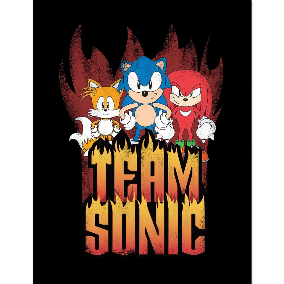 image 1 of Sonic The Hedgehog (Team Sonic) Framed 30x40cm Print