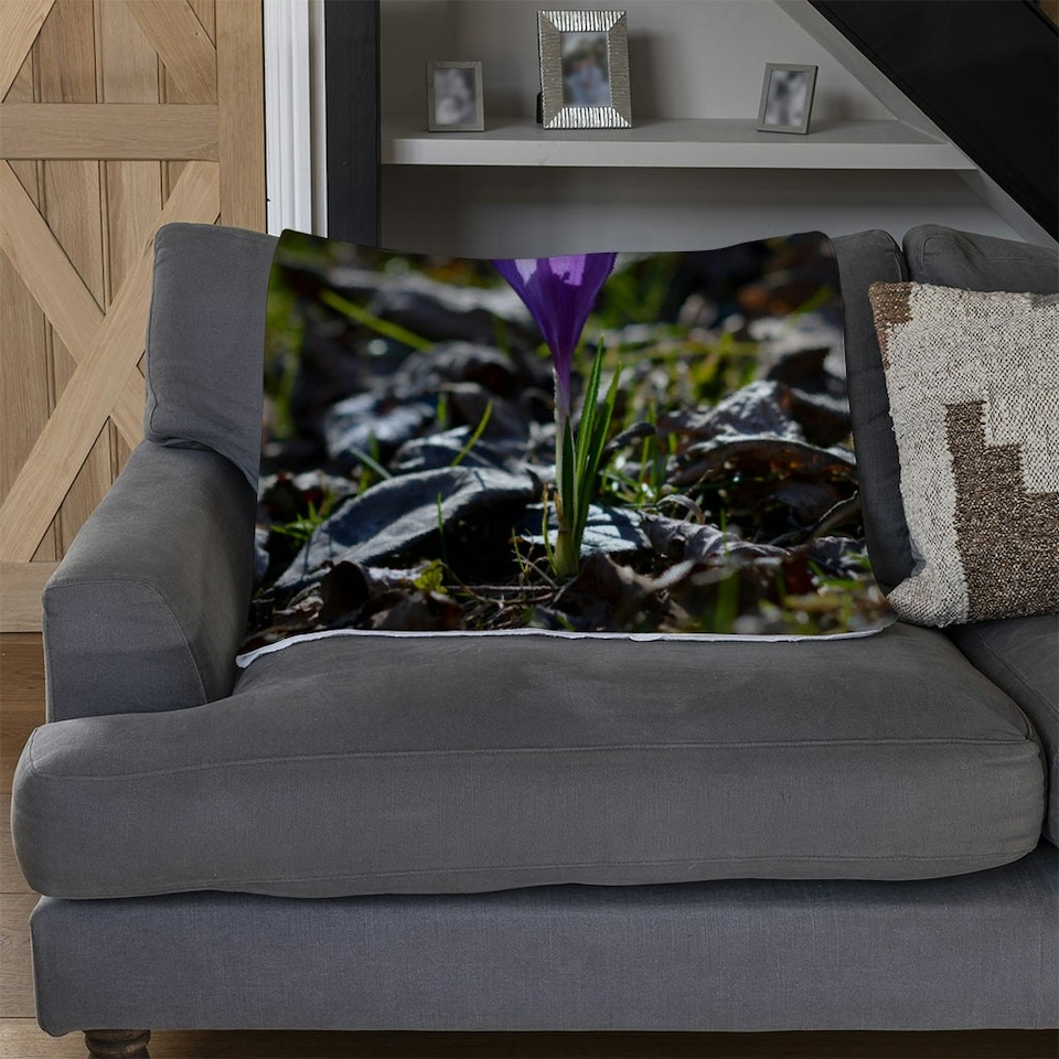 image 1 of Purple crocus flowers, Colchicum, in a green grass meadow. Close up spring or autumn flower bloom in nature (Blanket)