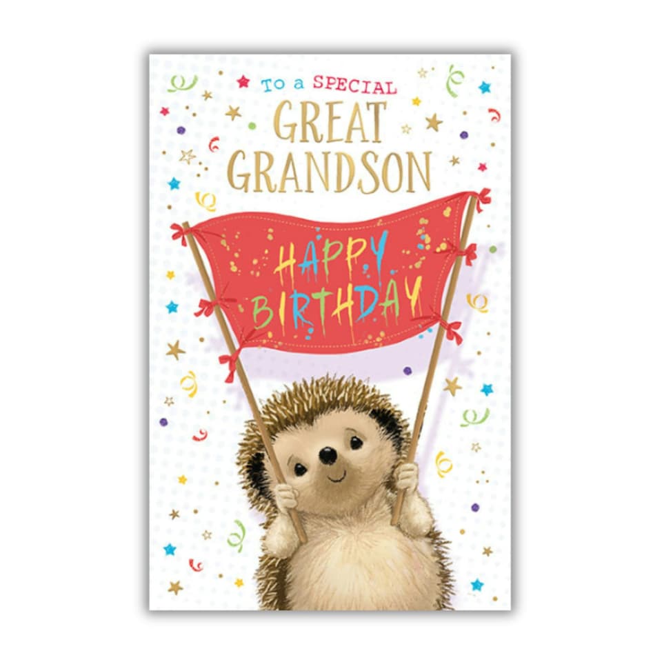 image 1 of Words 'n' Wishes Birthday Card for Great Grandson, Cute Hedgehog Holding Happy Birthday Banner, Multicoloured, 21.7 x 14.4 cms
