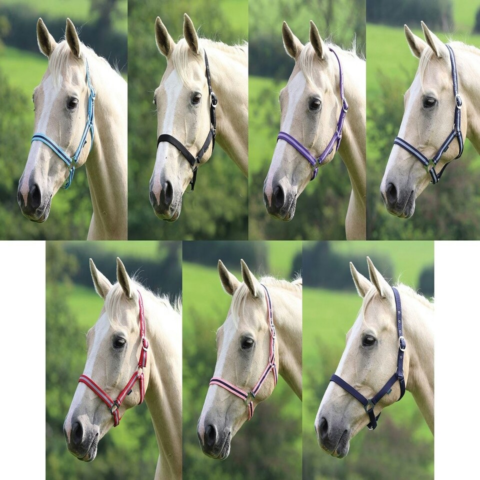 image 1 of Shires Wessex Headcollar Blue | Size: Full
Colour: Navy/Silver