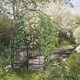 image 2 of Outsunny Metal Garden Arch with Double Gate, Garden Arbor Climbing Plants