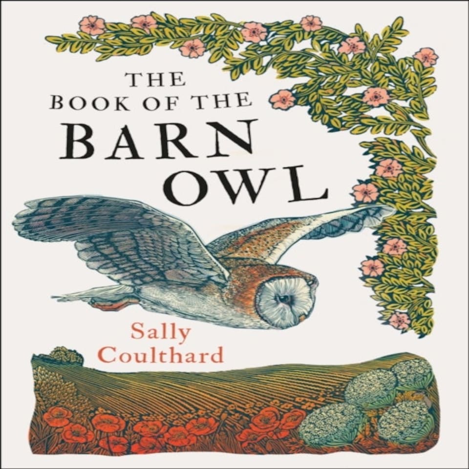 Book Of The Barn Owl