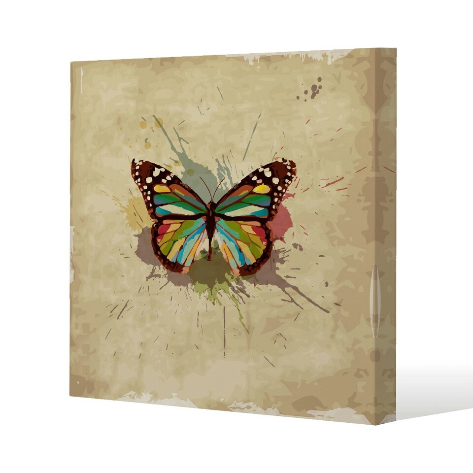image 1 of Butterfly & Paint Splats (Canvas Print) 90 x 90 x 4cm