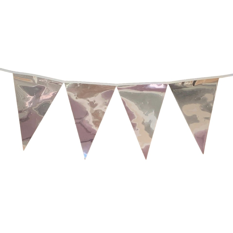 image 1 of Metallic Silver Party Bunting 10m with 20 Pennants