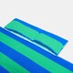 image 6 of OHS Stripes Beach Towel with Bag Quick Dry Absorbent Travel Spa | Multi | Blue/Green | One size