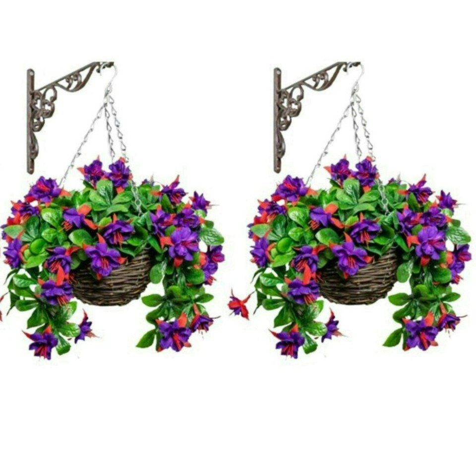 image 1 of Primrose Artificial Fuchsia Flowers with Rattan Hanging Basket in Purple 25cm