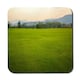 image 1 of Background image of lush grass field (Coaster)