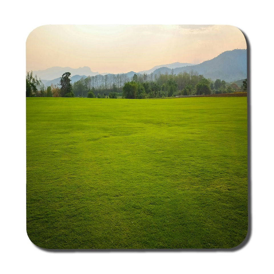 image 1 of Background image of lush grass field (Coaster)